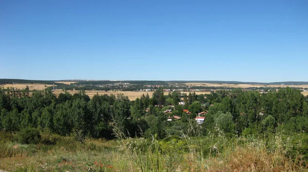 Kultivierte Felder Sommer — Stockfoto