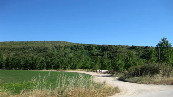 Καλλιεργούμενα Χωράφια Καλοκαίρι — Φωτογραφία Αρχείου