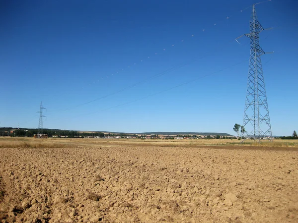 Campos Cultivados Verano — Foto de Stock