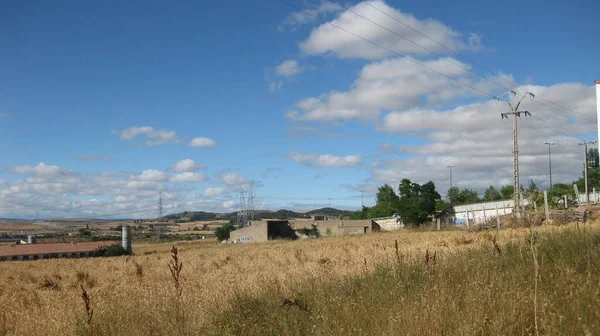 Kultivierte Felder Sommer — Stockfoto