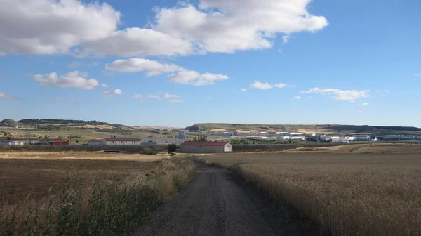 Campos Agrícolas Con Carreteras — Foto de Stock