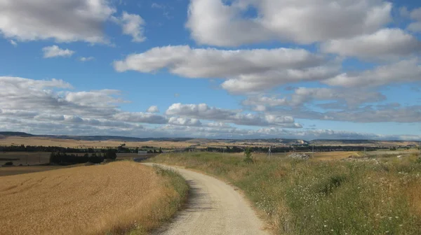 Campi Agricoli Con Strade — Foto Stock