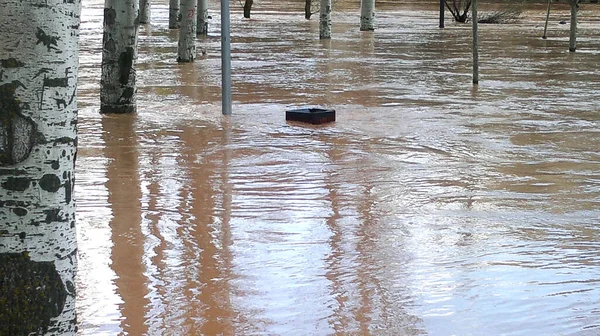 Overstroming Van Een Rivier Met Bruin Water — Stockfoto