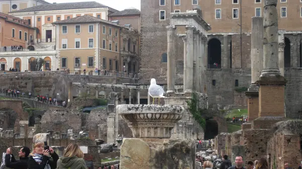 Oude Stad Van Rome Puin — Stockfoto