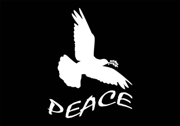 Λευκό Περιστέρι Ειρήνης Μαύρο Φόντο — Διανυσματικό Αρχείο