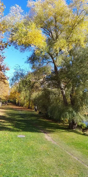 Paseo Otoño Largo Orilla Del Río — Foto de Stock