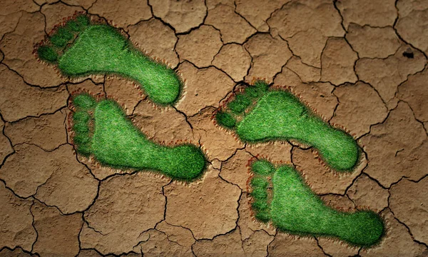 Green grass footprints on drought soil.