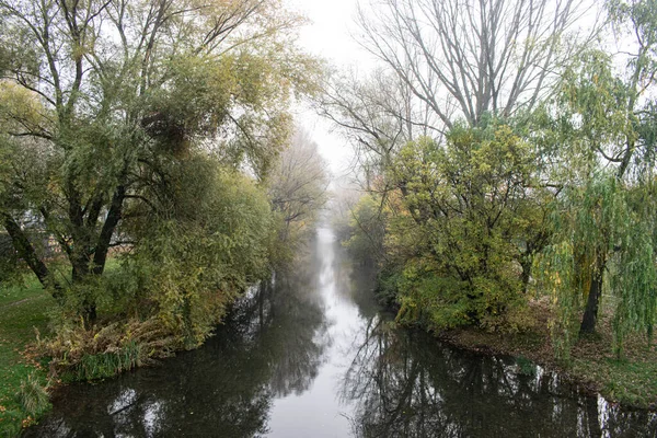 Річка Проходить Через Ліс Похмурий День — стокове фото