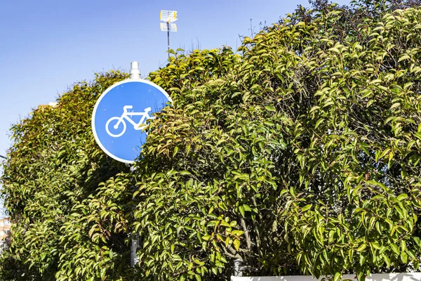 Велосипедний Знак Зеленими Кущами — стокове фото