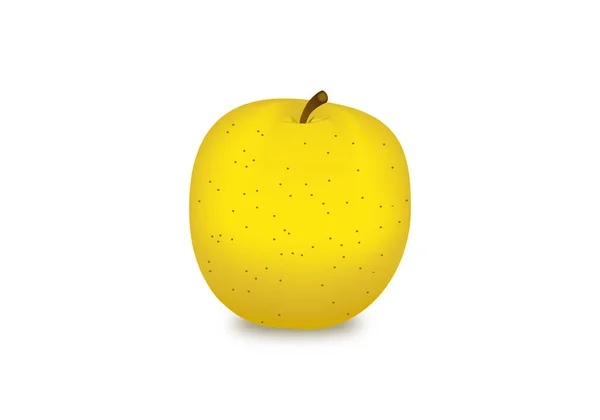 Reifer Goldener Apfel Auf Weißem Hintergrund — Stockvektor