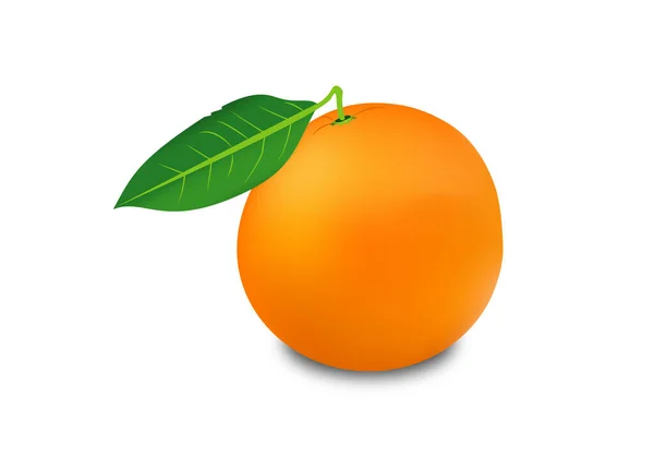 Orange Mit Grünem Blatt Auf Weißem Hintergrund — Stockvektor
