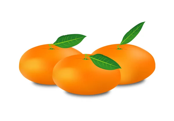 Tangerinas Clementinas Com Folha Verde Sobre Fundo Branco Dieta Mediterrânica — Vetor de Stock