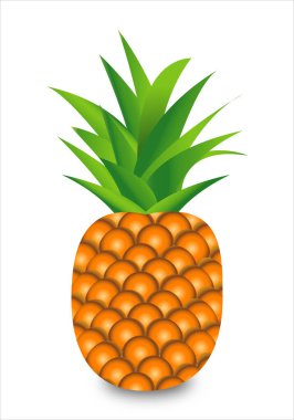 Beyaz arka planda tropik ananas
