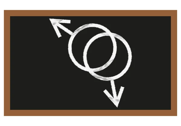 Tablica Edukacji Seksualnej Białym Tle — Wektor stockowy