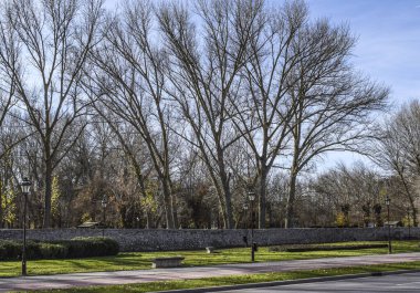 Soğuk bir günde sonbaharda park eder.