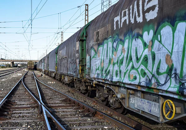 Carriles Tren Vacíos Abandonados — Foto de Stock