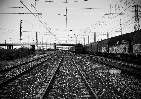 Leere Und Verlassene Bahngleise — Stockfoto