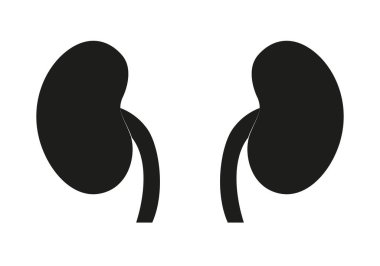 Beyaz arkaplanda böbrek simgesi.