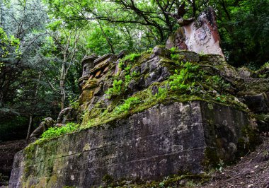 Ormanda bir generalin antik mezarı..