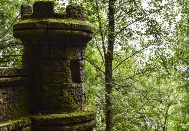 Ormandaki bir kalenin savunma kulesi..