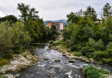Bulutlu bir günde dağ nehri.