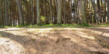 Fuentes Blancas Burgos 'taki doğal park