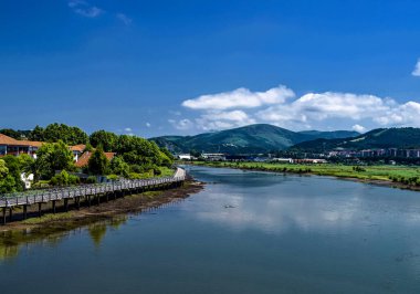Yazın dağlık bir arazide akan nehir..
