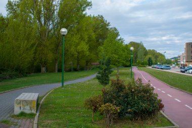 Baharda yeşil korulukta yeşil bahçeli yeşil yürüyüş