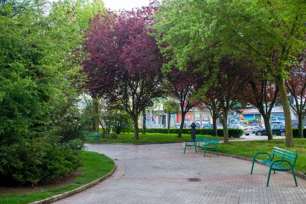 Caminhada Verde Com Ggreen Walk Com Bosque Verde Springreen Grove — Fotografia de Stock