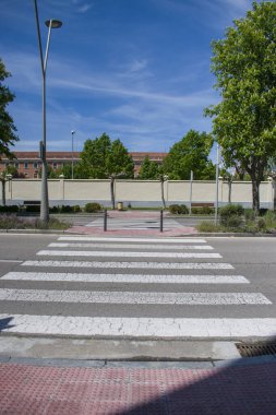 Şehirde beyaz çizgilerle geçen Zebra