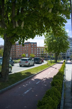 Bisiklet yolu ve ağaçlarla şehir yürüyüşü