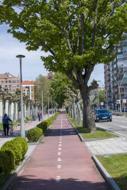 Bisiklet yolu ve ağaçlarla şehir yürüyüşü