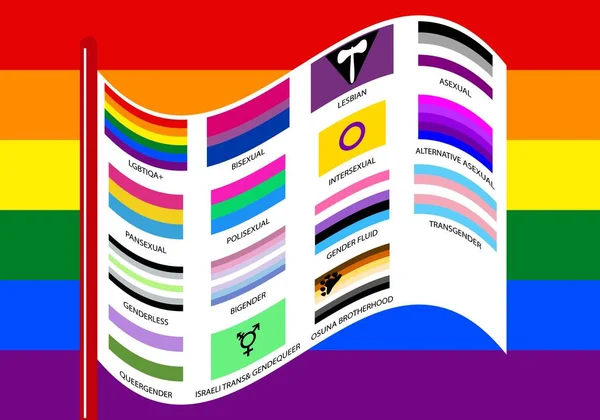 Флаги Групп Lgtbiqa Лесбиянки Геи Транссексуалы Бисексуалы Интерсексуалы Асексуалы Плюс — стоковый вектор