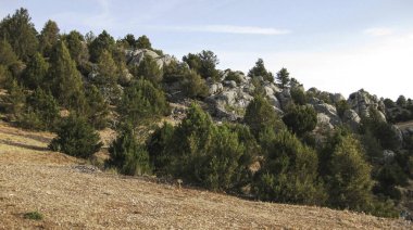 İspanya 'nın kırsal dağ manzaraları.