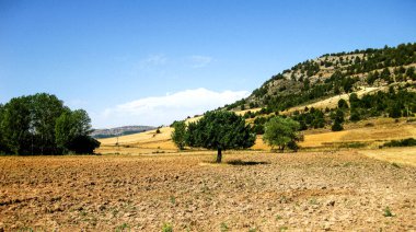 İspanya 'nın kırsal dağ manzaraları.