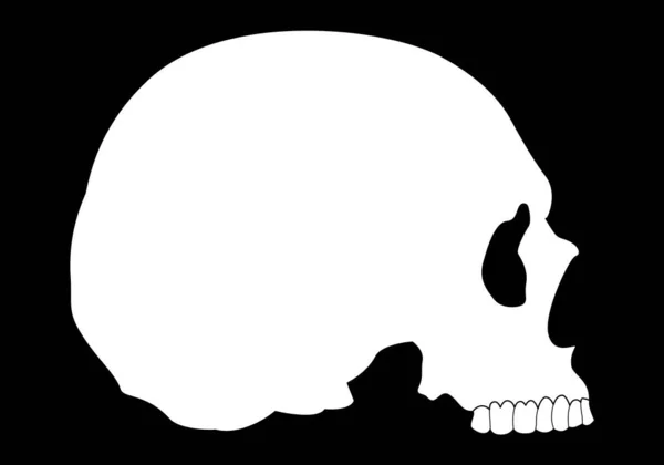 White Silhouette Human Skull Black Background — Stock Vector