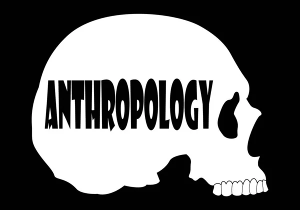 Weiße Silhouette Des Menschlichen Schädels Mit Anthropologie Text Schwarz Auf — Stockvektor