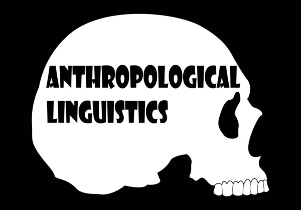 Silhouette Bianca Del Cranio Umano Con Testo Antropologico Linguistico Nero — Vettoriale Stock