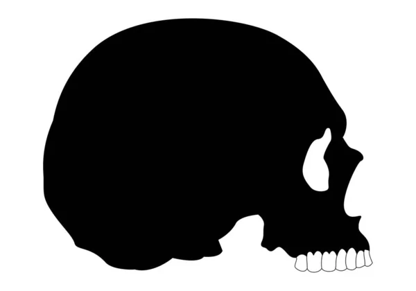 Silueta Negra Del Cráneo Humano Sobre Fondo Blanco — Archivo Imágenes Vectoriales