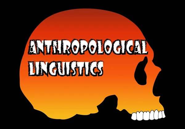 Silhouette Arancione Del Cranio Umano Con Testo Antropologico Linguistico Sfondo — Vettoriale Stock