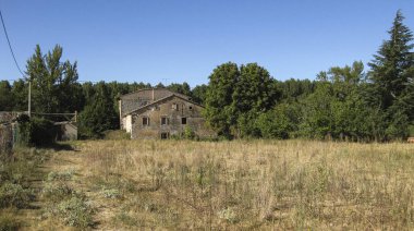 Yazın ekilmiş tarlaların manzarası.