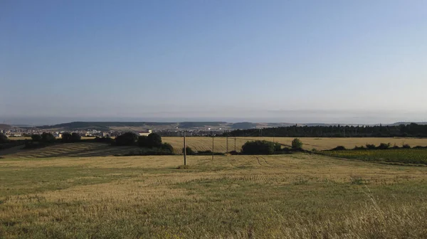 Paisajes Campos Cultivados Verano —  Fotos de Stock