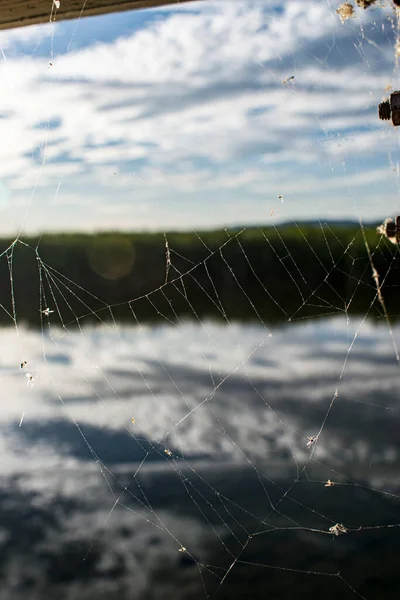 Spider web with dew in front of a river.