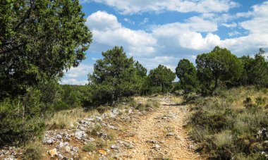 İspanya 'nın ekili tarlaları ve dağları.