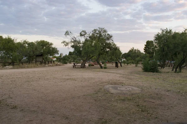Bulutlu bir günde ağaçlarla kaplı düzlükler..