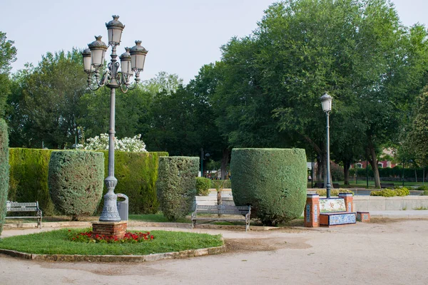 Park Met Bomen Een Stad — Stockfoto