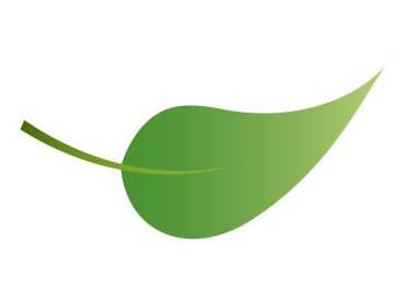 Beyaz arkaplanda yeşil yaprak.