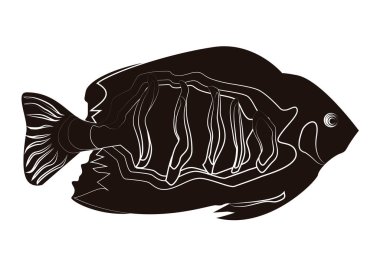 Beyaz arkaplanda siyah bir balık simgesi.