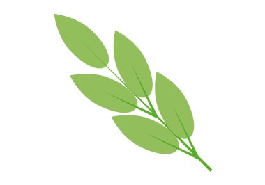 Beyaz arkaplanda yeşil dal simgesi.