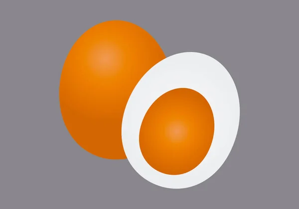 全卵と半分にカットグレーの背景 — ストックベクタ